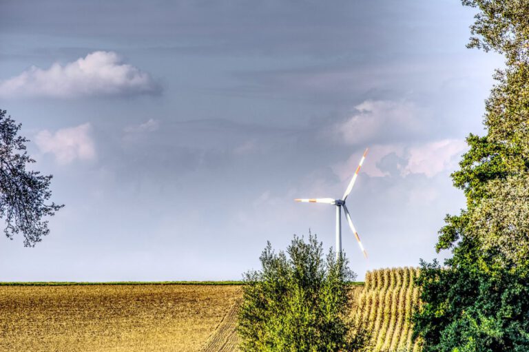 Rheinische Post: Grüne begrüßen CDU-Vorschläge für Klimaschutz und fordern mehr Schulden