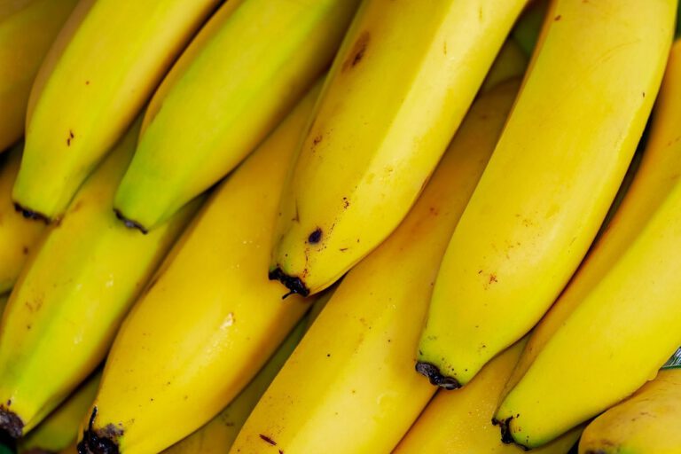 Fairtrade warnt im Rahmen der Fruit Logistica vor den Folgen des Billigwahns bei Lebensmitteln