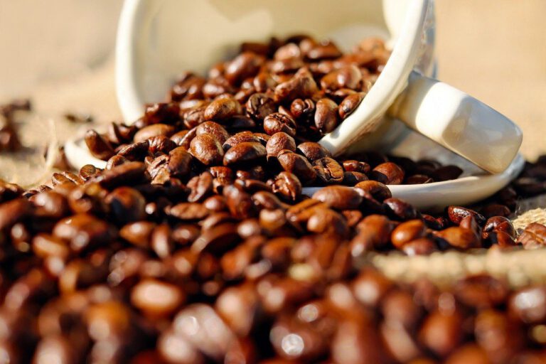 Solidarität durchbricht Grenzen: Verbraucher geben 2 Milliarden für Fairtrade-Produkte aus