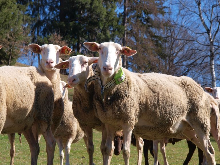 Digitalisierung der Landwirtschaft