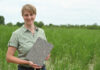 Claudia Miersch mit einer Musterplatte aus Hanfschäben in einem Miscanthus-Bestand auf den Rekultivierungsflächen der LEAG