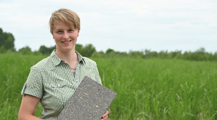 Claudia Miersch mit einer Musterplatte aus Hanfschäben in einem Miscanthus-Bestand auf den Rekultivierungsflächen der LEAG